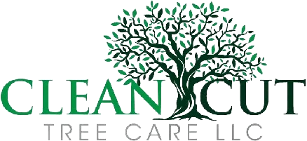 Clean Cut Tree Care logo