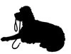 Dog Gone Good Dog Training logo