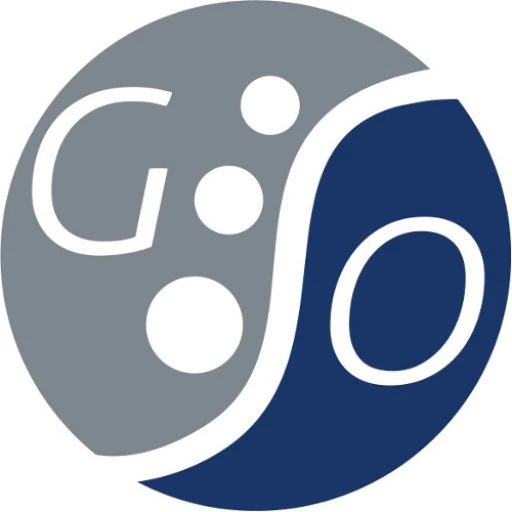 Georgia Spine and Orthopedics logo