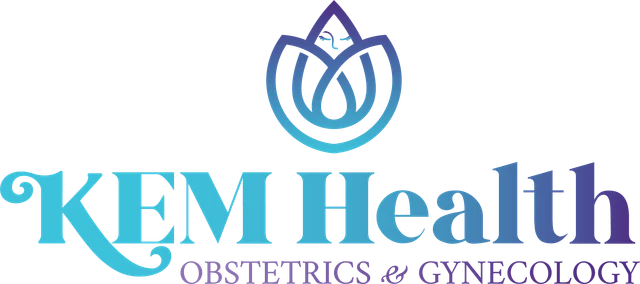 Promised Land Wimen's Center logo