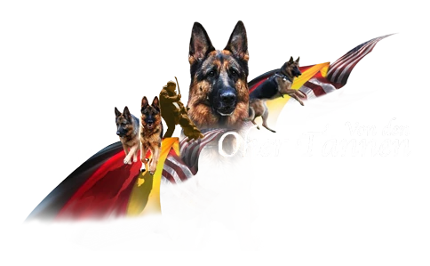Oher Tannen German Shepherd Dogs logo