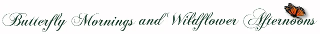 Butterfly Mornings & Wildflower Afternoons logo