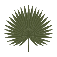 Palmetto Family Dentistry of Savannah logo