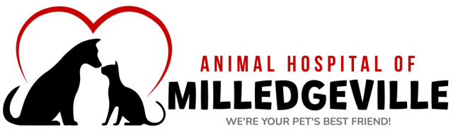 Animal Hospital of Milledgeville logo