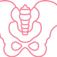 Empowered Foundations Pelvic Floor Therapy & Bodywork logo