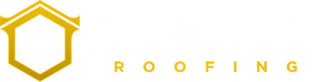 Invictus Roofing logo