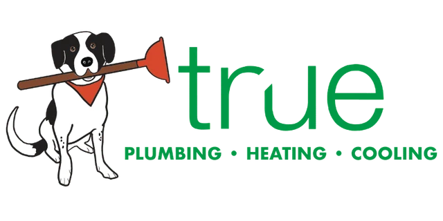 True Plumbing logo