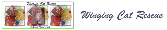 Winging Cat Rescue logo