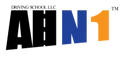 ALL N 1 DRIIVNG SCHOOL logo