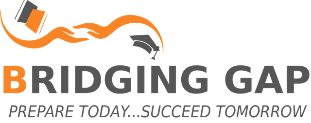 Bridging Gap USA logo