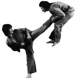 Kim Brothers Tae Kwon Do (AFTER SCHOOL PROGRAM!!) logo