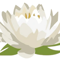 Buff'd Wellness Atlanta Body + Skin Care logo