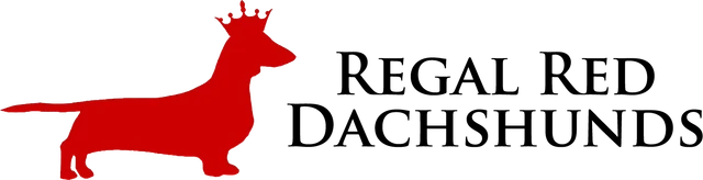 Regal Red Dachshunds logo