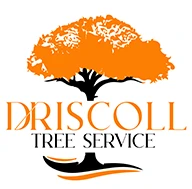 Driscoll Tree Service logo