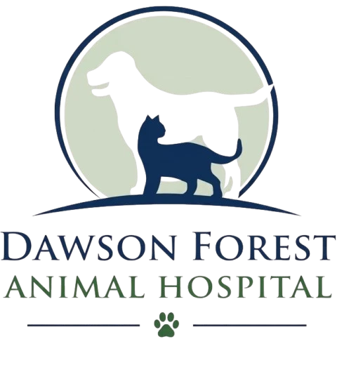 Dawson Forest Animal Hospital logo