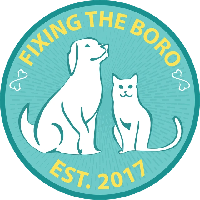 Fixing the Boro logo