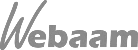 The Garage Dude logo