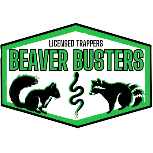 Beaver Busters LLC logo