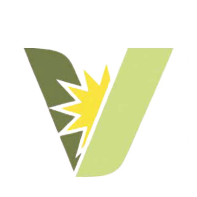 The Vision Church logo