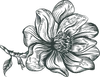 The Steel Magnolia Mobile Bar logo