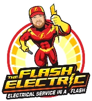 The Flash Electric logo