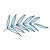Essentia Women's Health & Aesthetics logo