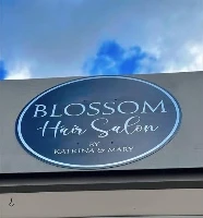 Blossom hair salon logo