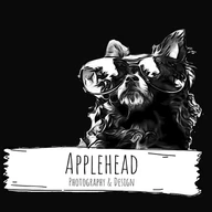 Applehead Photography & Design logo