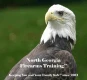 North Georgia Firearms Training logo