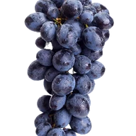 Grapes and Ladders Vineyards and Winery logo