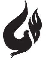 The Church of Valdosta logo