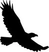 Energy Medicine & Psych K logo