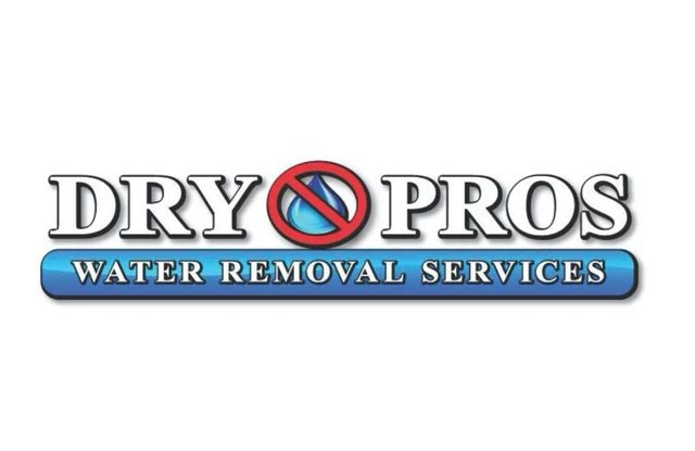 Dry Pros logo