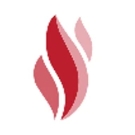 Firestorm Cyber logo