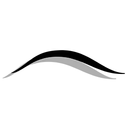 North Georgia Aesthetics logo