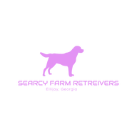 Searcy Farm Retrievers at Angels Landing logo