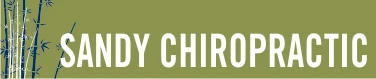 Sandy Chiropractic PC logo
