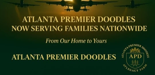 Atlanta Premier Doodles logo