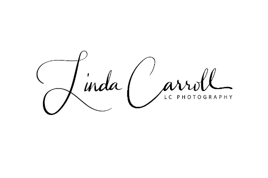 LC Photography logo