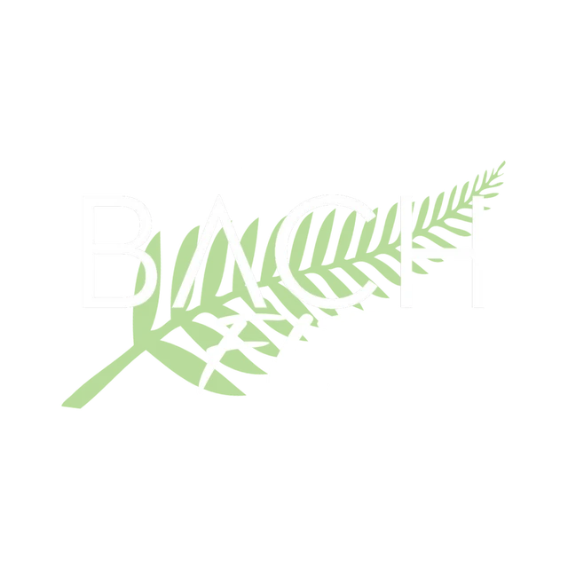 BACH Fitness logo