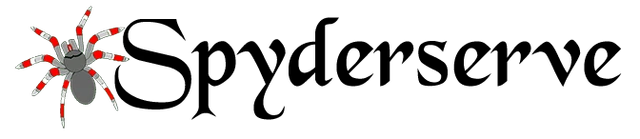 Spyderserve Web Services logo