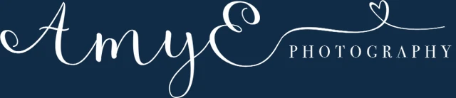 Amy E Photography logo