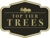 Top Tier Trees logo