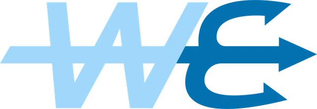 Wavy Entertainment | Atlanta Videographer logo