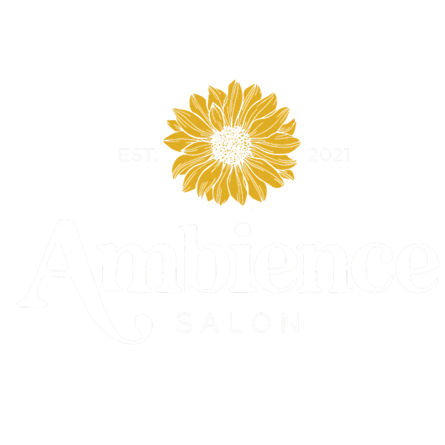 Ambience Salon, Augusta logo