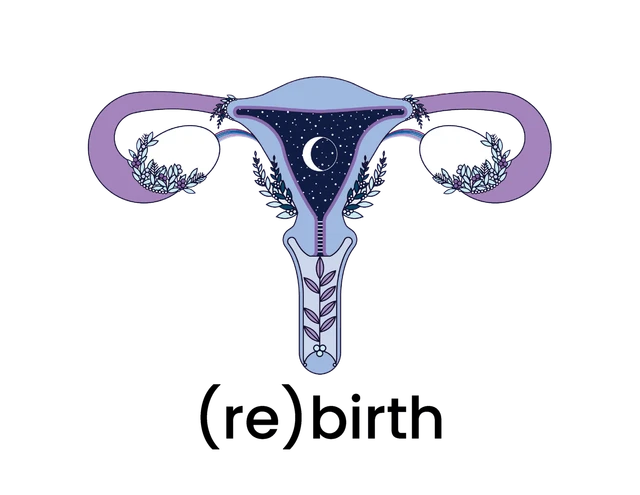 Rebirth Holistic Women's Health logo