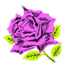 Pretty Boy logo