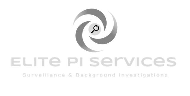 Elite PI Services, LLC logo