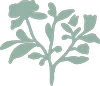 Trellis Pilates logo