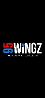 95 WINGZ logo